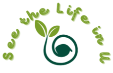 seethelifeinu