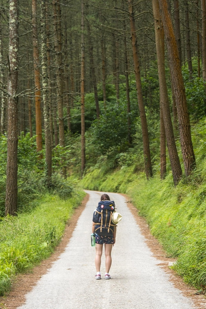 Sunrise path: the journey from reset to mastery