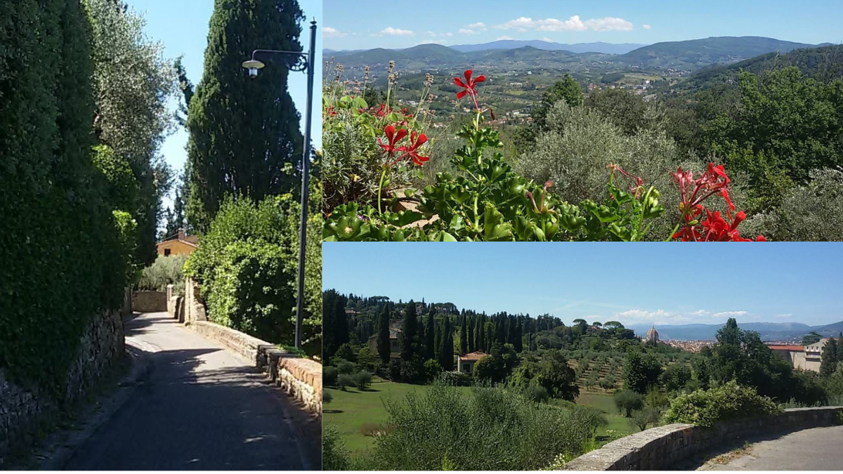 Photos from my Tuscan Ferragosto adventure