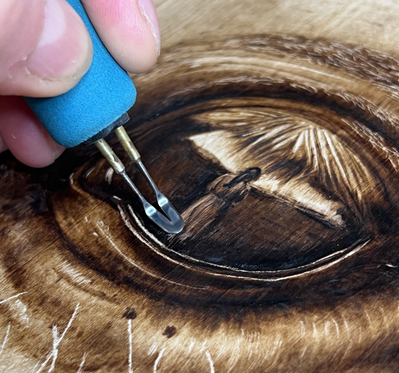 Rounded shader nib used in pyrography to create smooth shading on a realistic animal eye woodburning