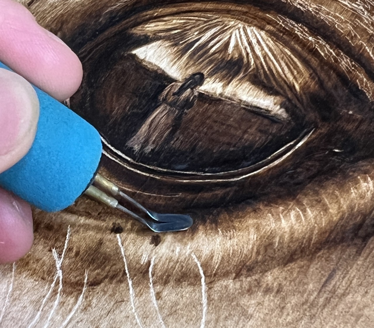 Rounded shader nib creating smooth shading on horse hair in realistic pyrography