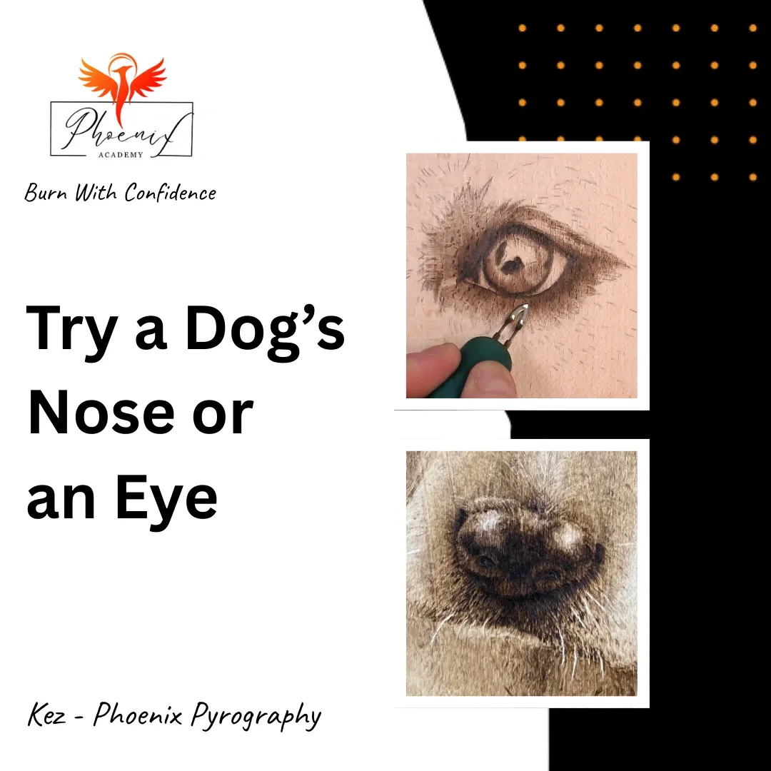 Beginner pyrography project – learn how to burn a realistic dog’s nose or eye for your first pet portrait