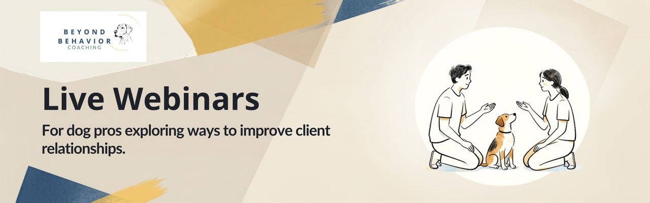 Live webinars