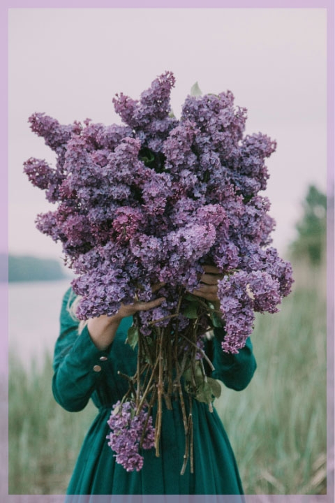 A woman holding a giant bunch of lilac for Dreams are Arrows meditations, affirmations and resources