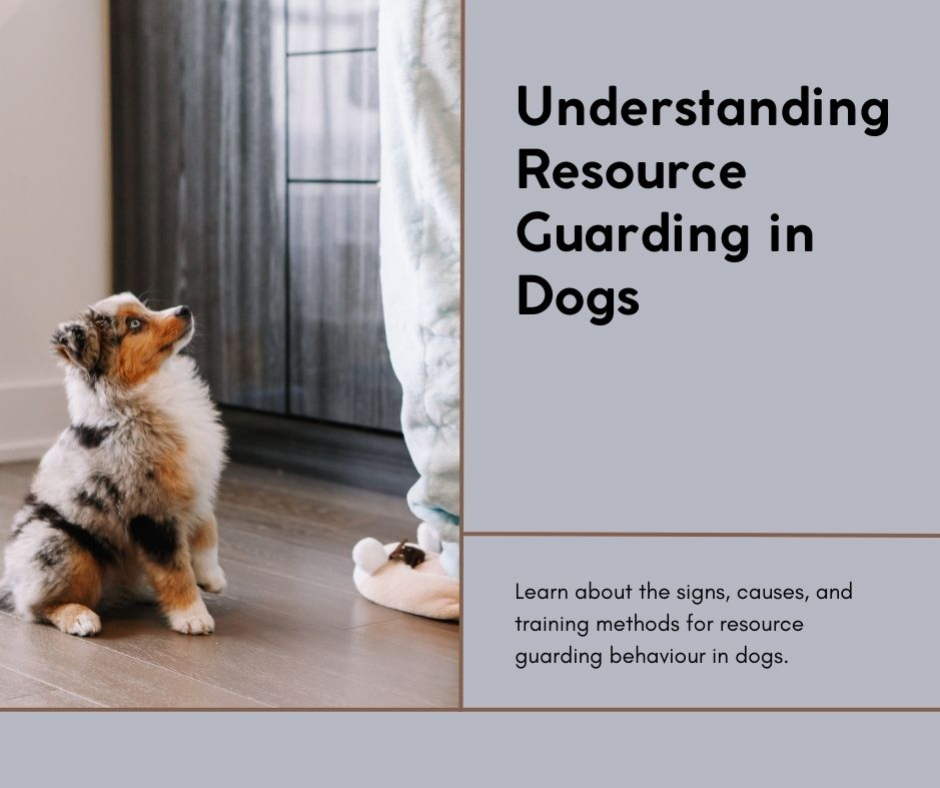 Resource Guarding inar