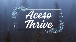 Aceso Thrive