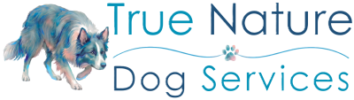 True Nature Dog Services