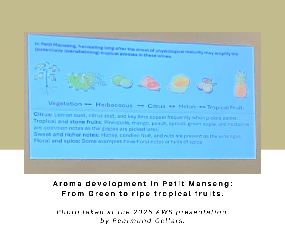 Aroma development in Petit Manseng: From Green to ripe tropical fruits. Photo taken at the 2025 AWS presentation  by Pearmund Cellars.