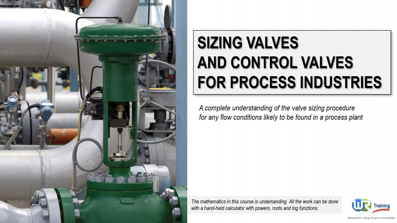 Sizing valves for the process industry