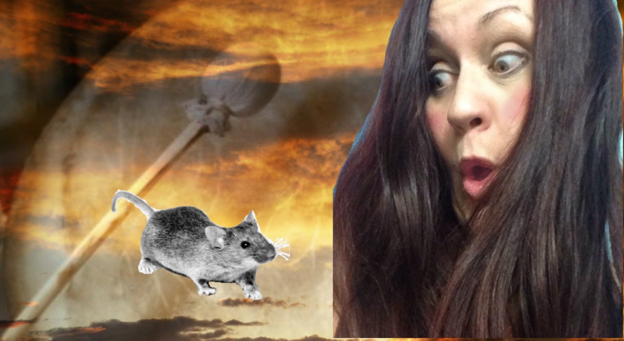 Daniela Hills mit einer Maus als Beispiel für ein unerwartetes Krafttier
