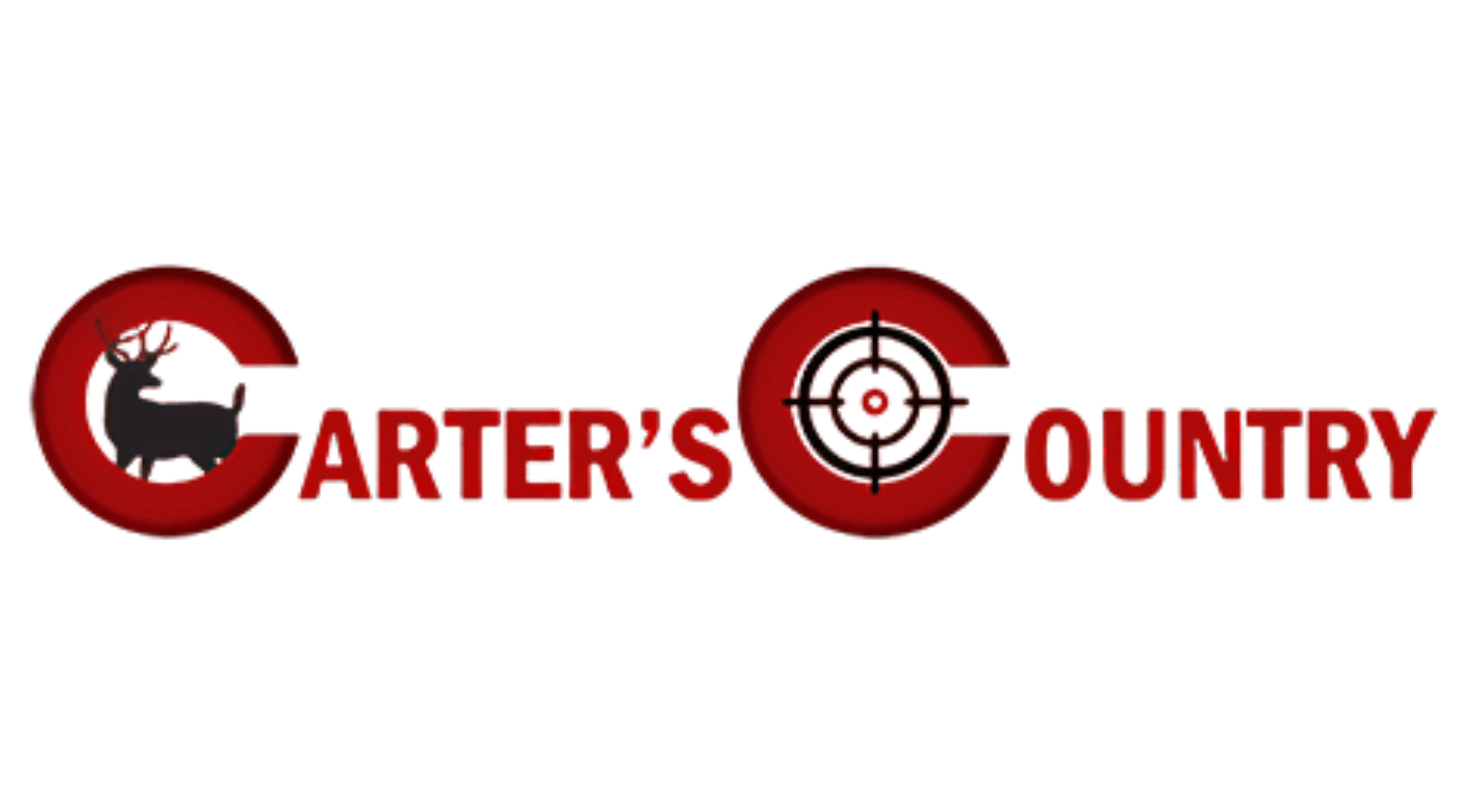 Logo 12