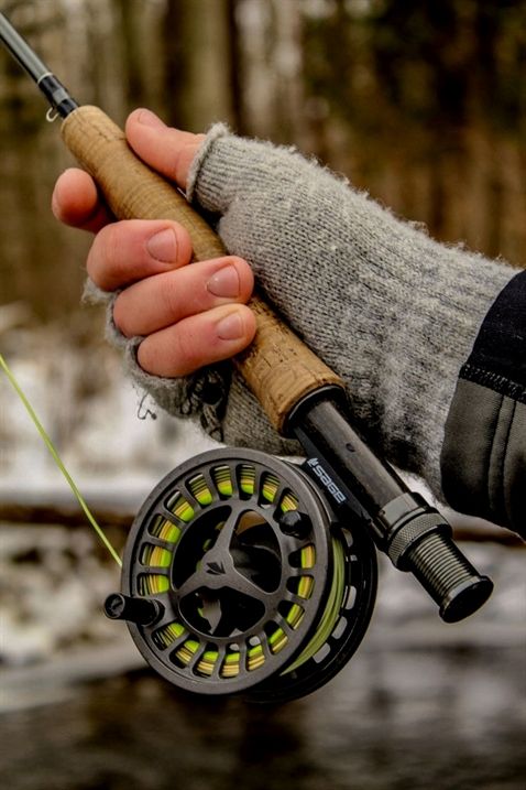The Ultimate Beginner's Guide to Freshwater Fishing