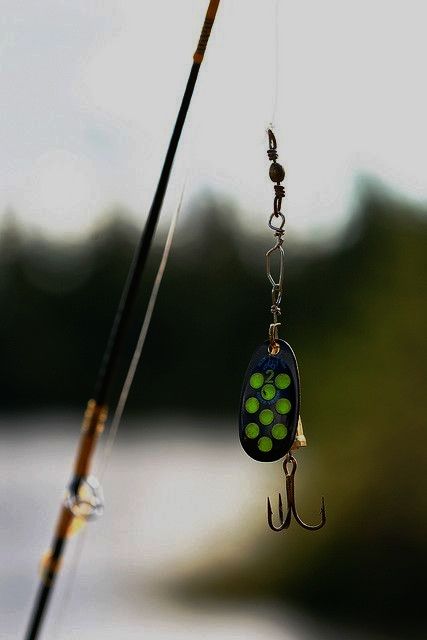 Spring Fishing Guide: What Fish Are Biting Right Now?