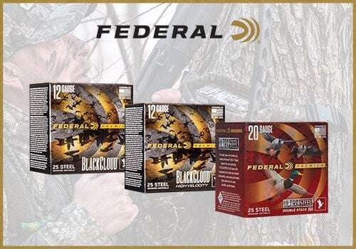 Federal waterfowl rebate artwork