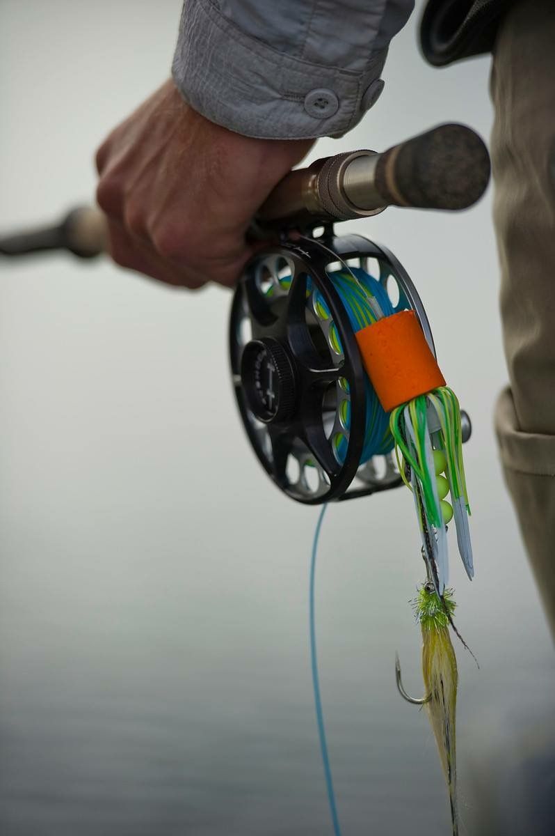Why Local Fishing Knowledge Matters More Than Expensive Gear