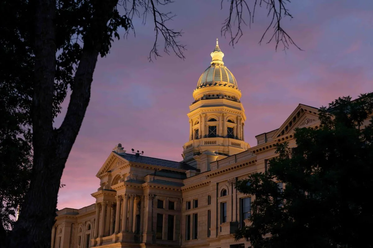 The Truth About The Second Amendment Protection Act
