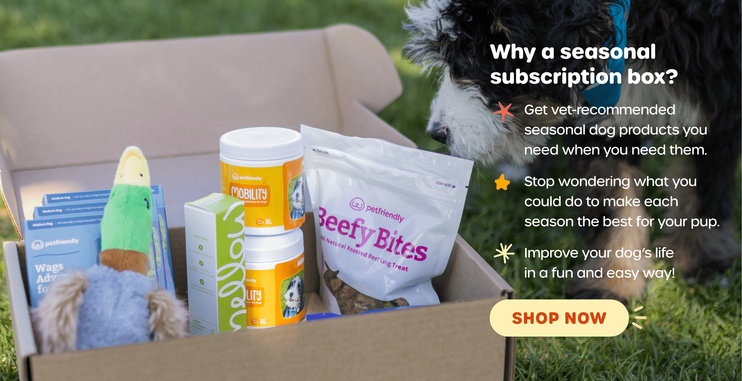 Why a seasonal subscription box? Get vet-recommended seasonal dog products you need when you need them. Stop wondering what you could do to make each season the best for your pup. Improve your dog's life in a fun and easy way! SHOP NOW