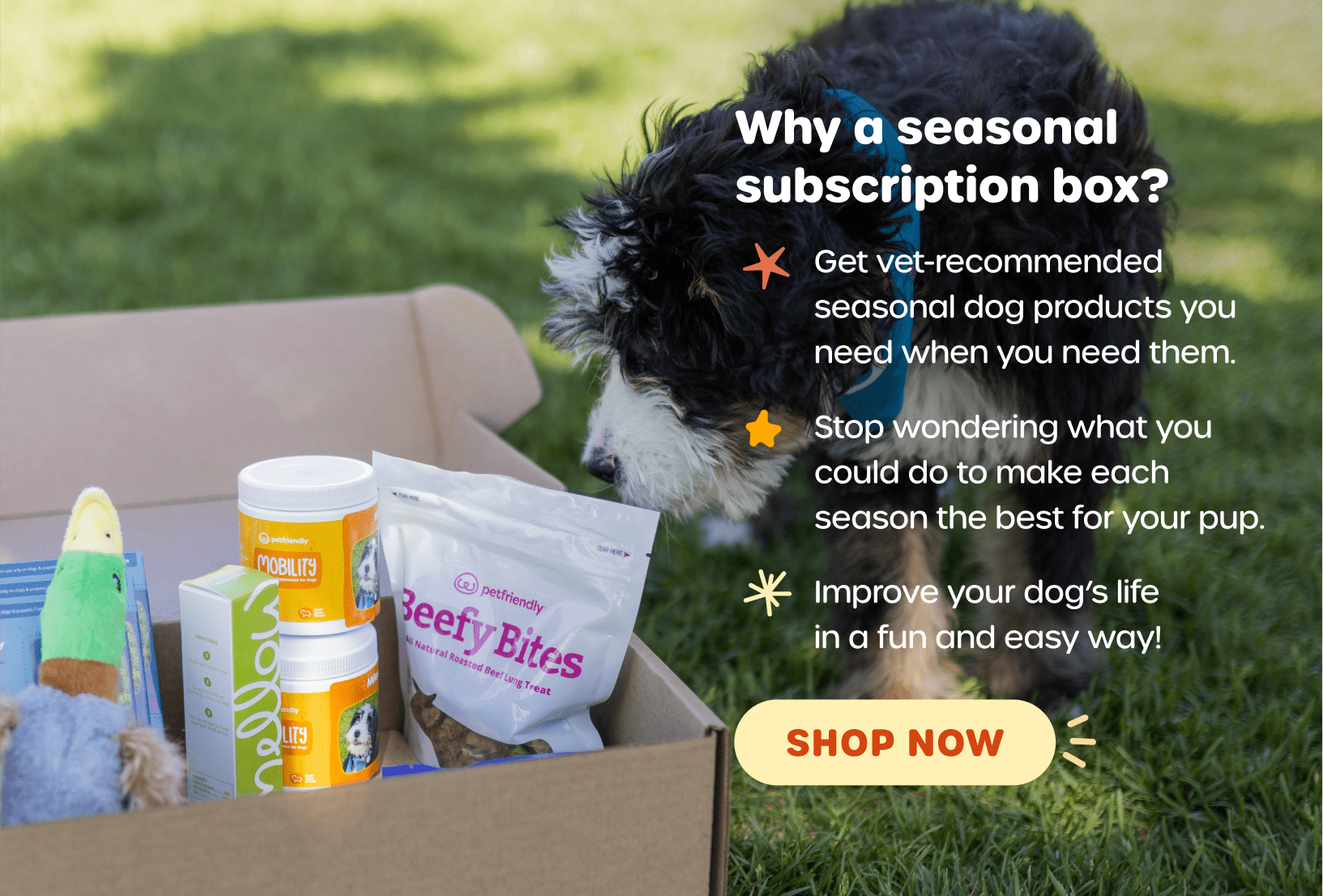 Why a seasonal subscription box? Get vet-recommended seasonal dog products you need when you need them. Stop wondering what you could do to make each season the best for your pup. Improve your dog's life in a fun and easy way! SHOP NOW