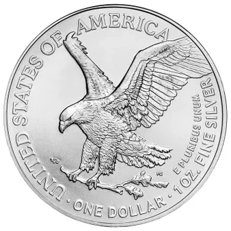 2025 1 oz American Eagle Silver Coin, 20-count