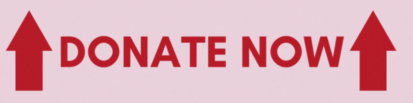 Donate now