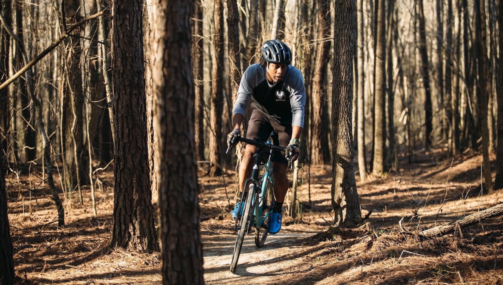 marin belt drive bikes