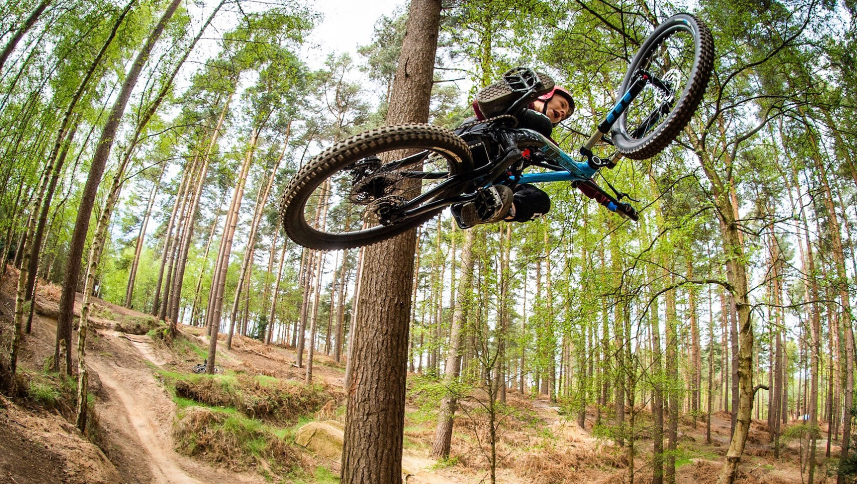 Marin Bikes Full Suspension Jr.