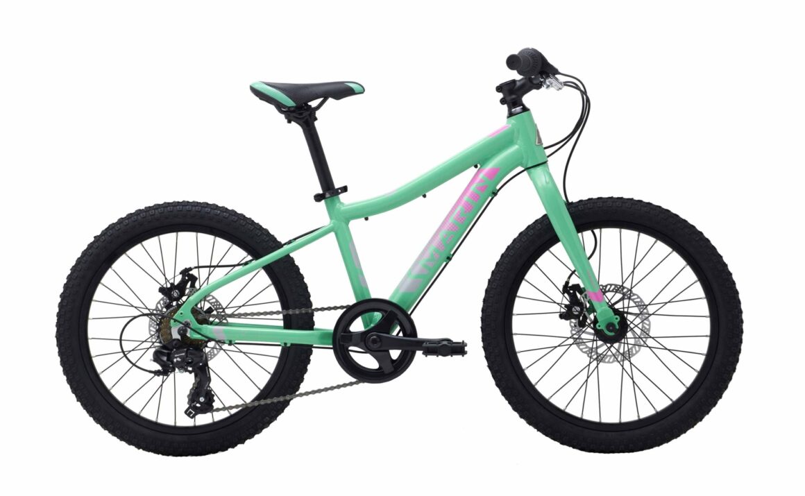 marin hidden canyon 20 review