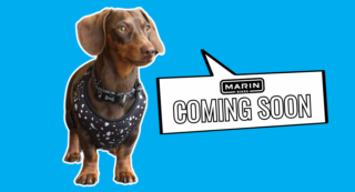 Ralphie Dog Coming Soon image