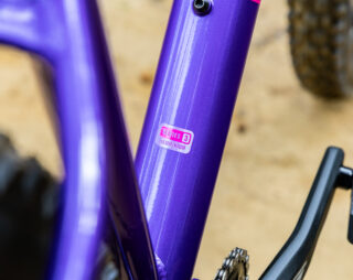 Detail image of the San Quentin 3 headtube