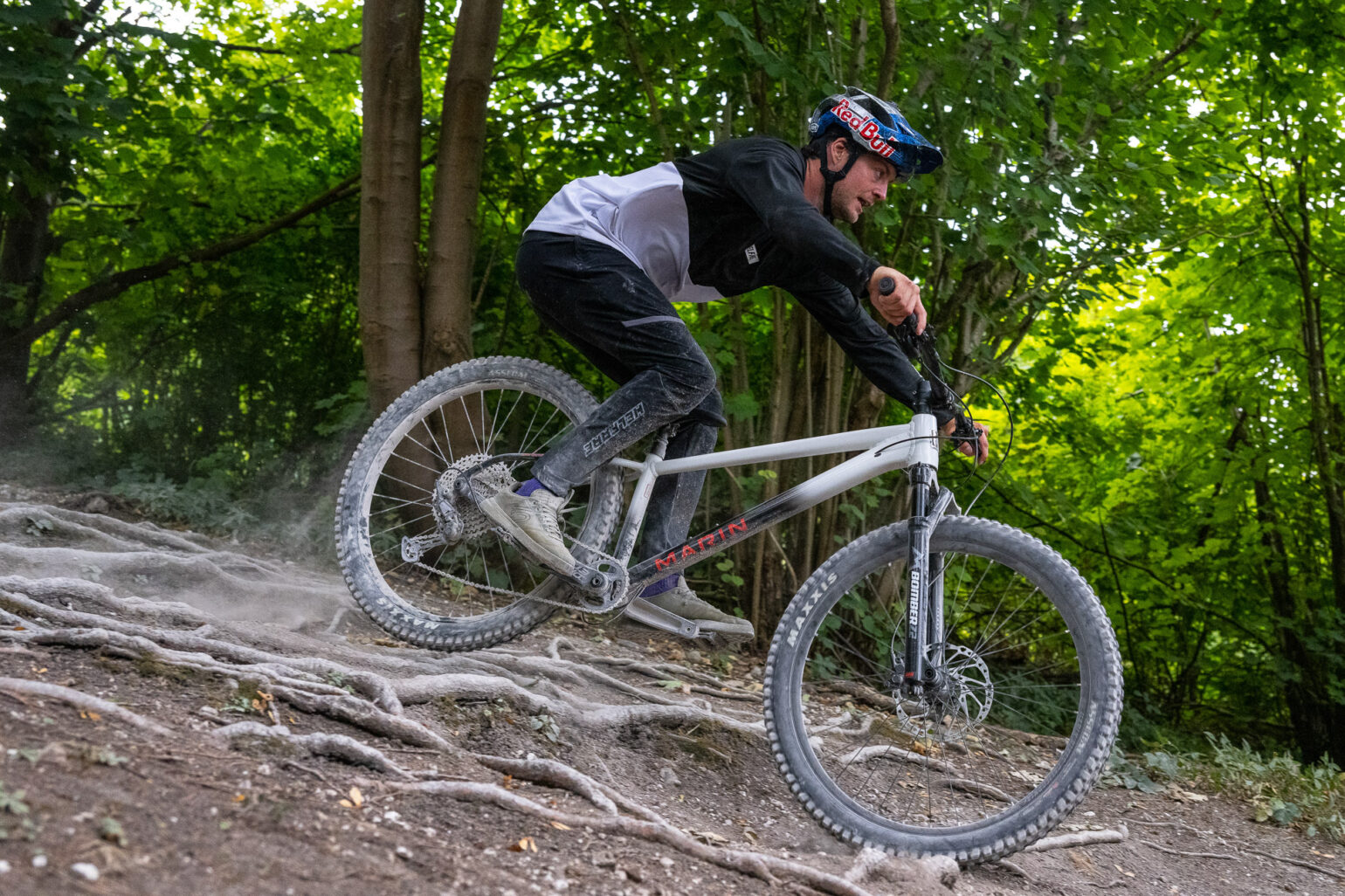 Marin Bikes Which Marin Performance Hardtail Mountain Bike is Right…