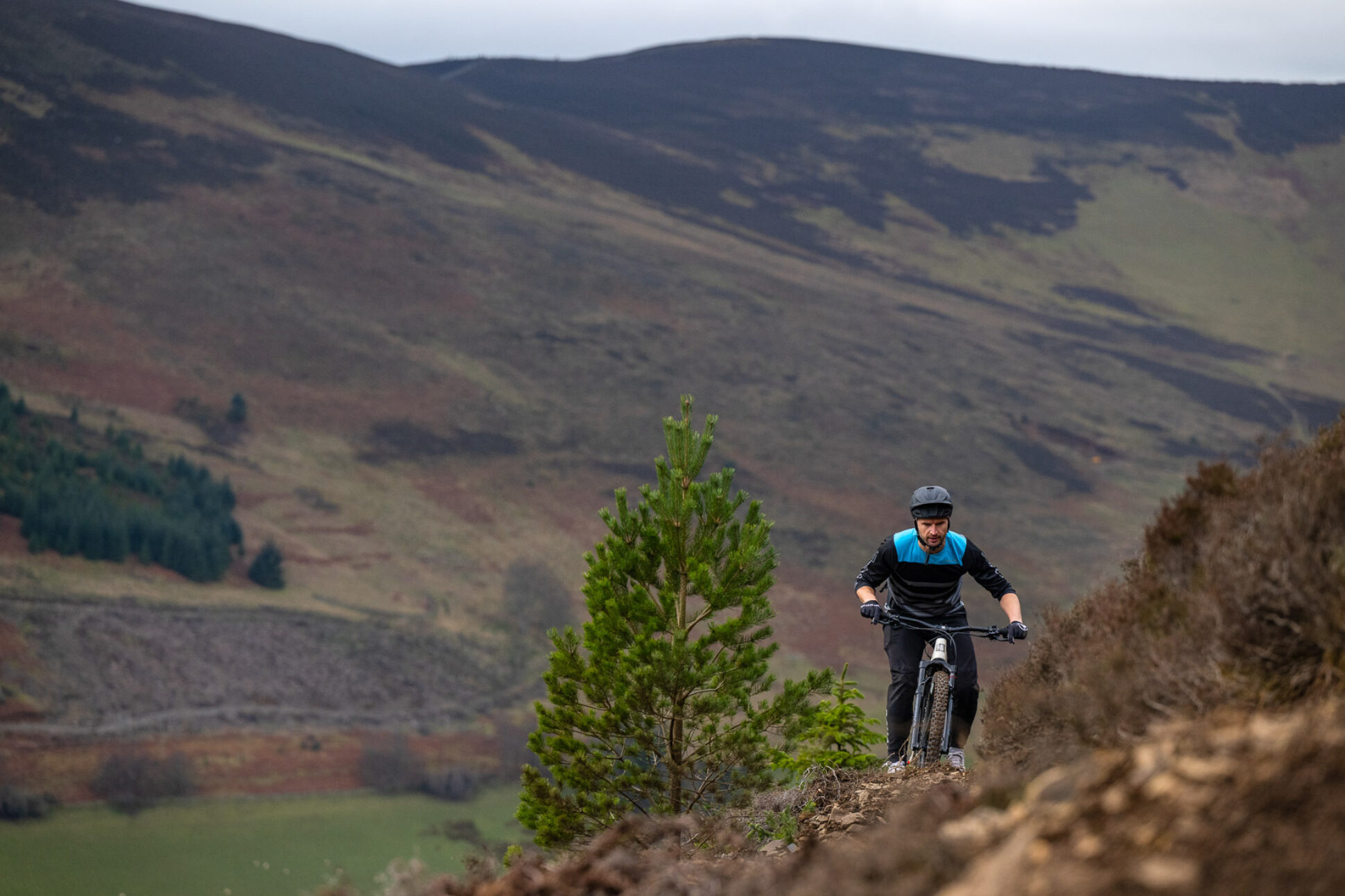 Marin Bikes Why Marin Mountain Bikes Now Come With Cushcore