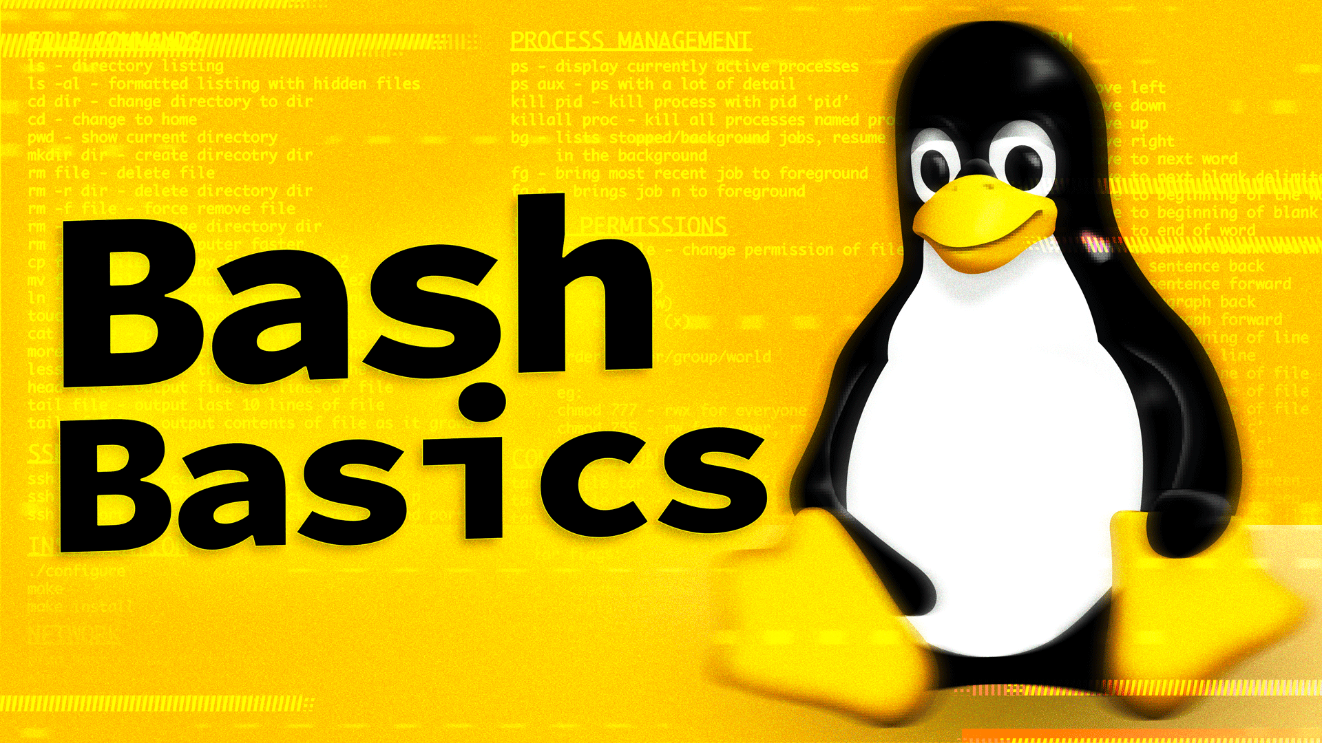 Linux CLI Learn the basics of bash
