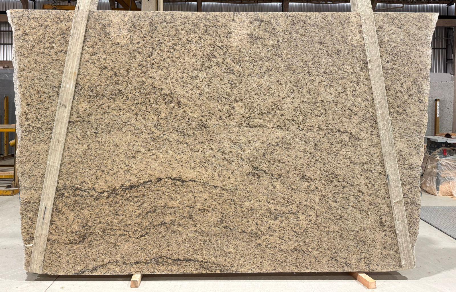 Lote 004047 — Giallo Ornamental Extra