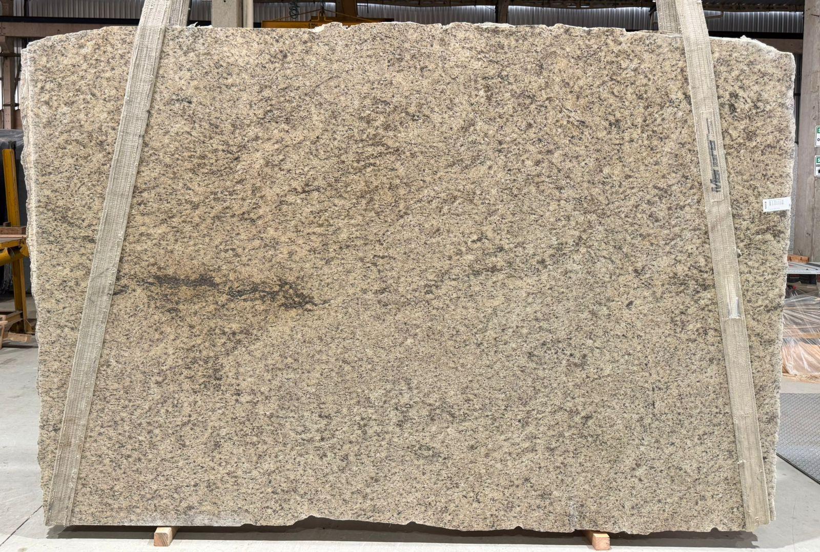Lote 003487 — Giallo Ornamental Extra