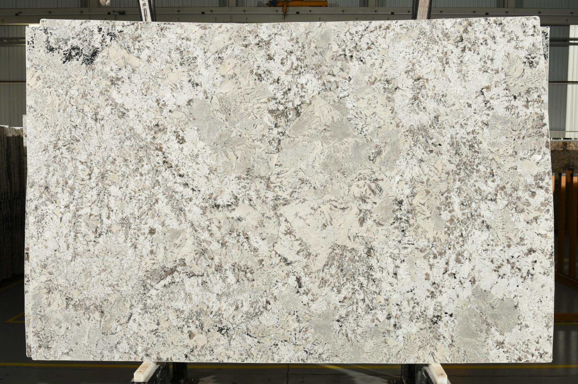 Lot 008578 — White Zurich