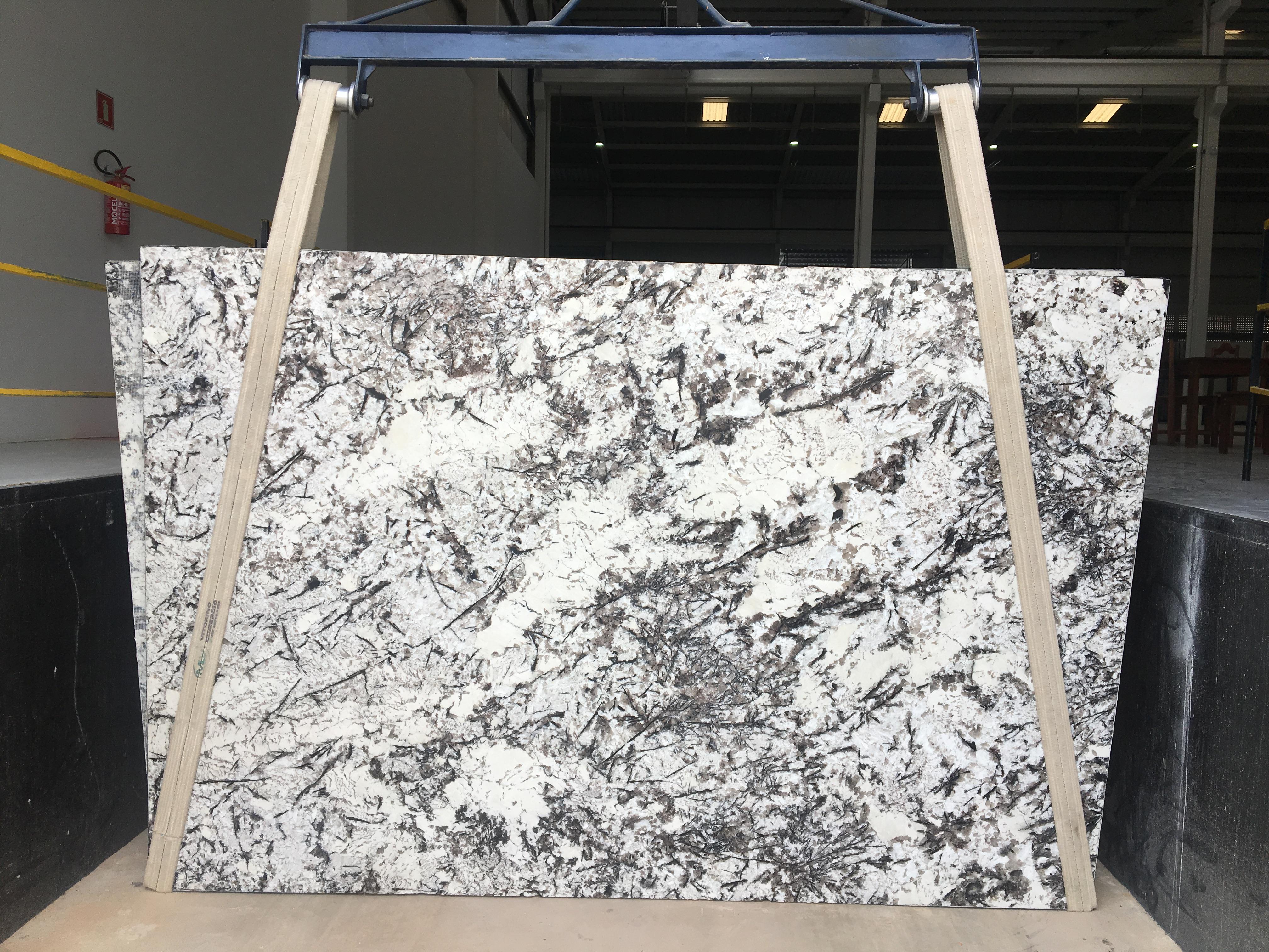 Lote 10294 — White Orion