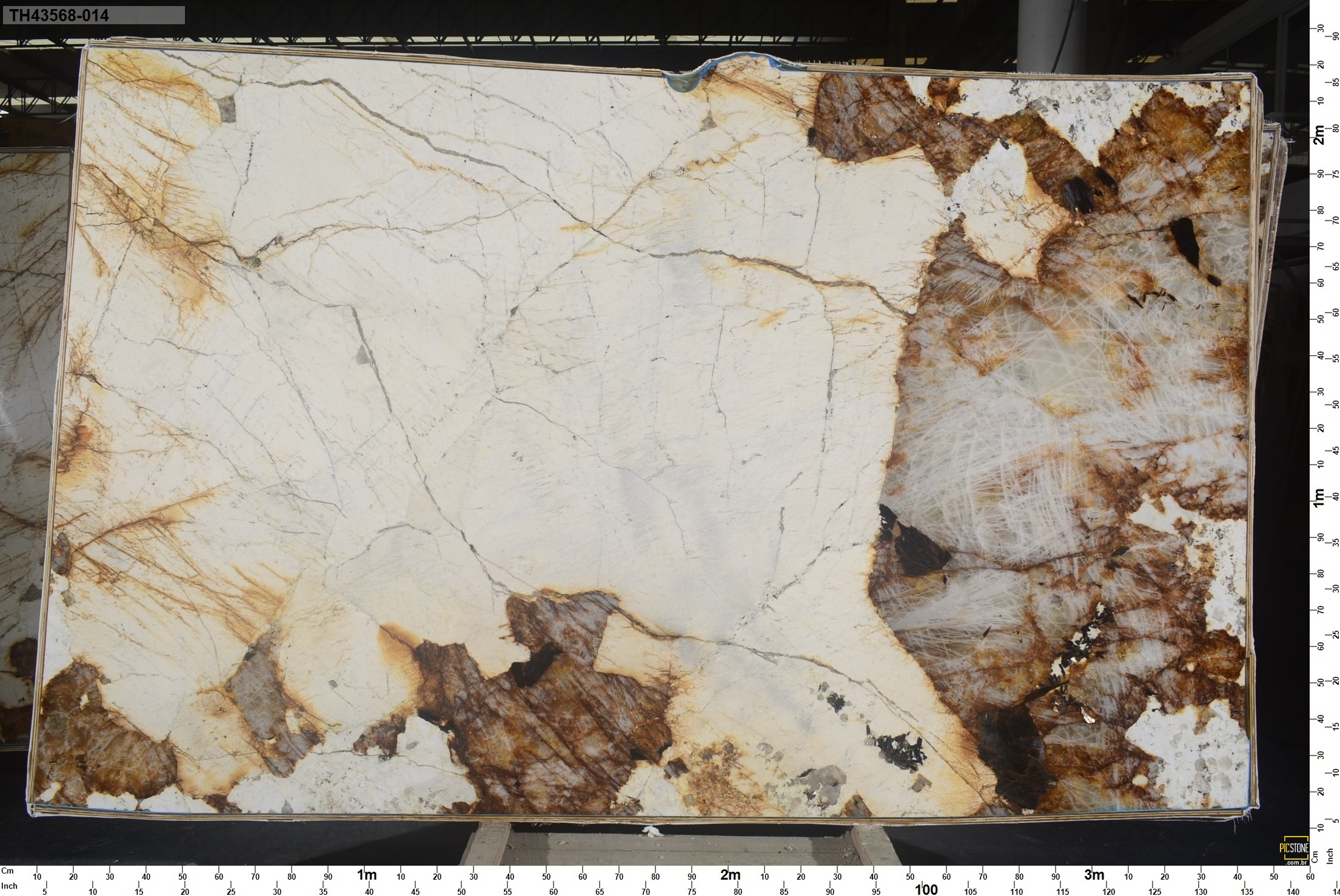 Lot TH43568 — Patagonia