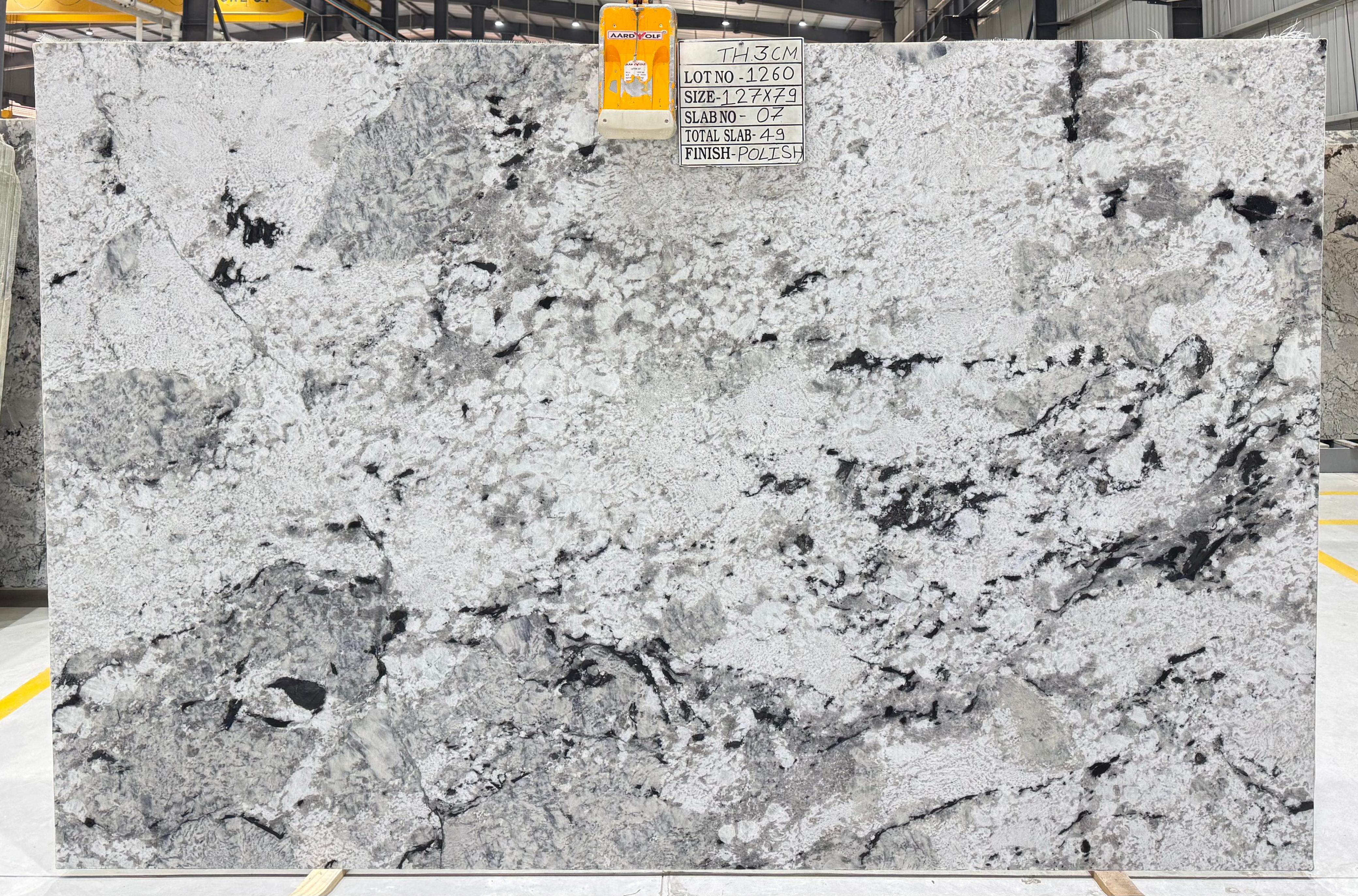 Lot 1260 — Arctic Tempest