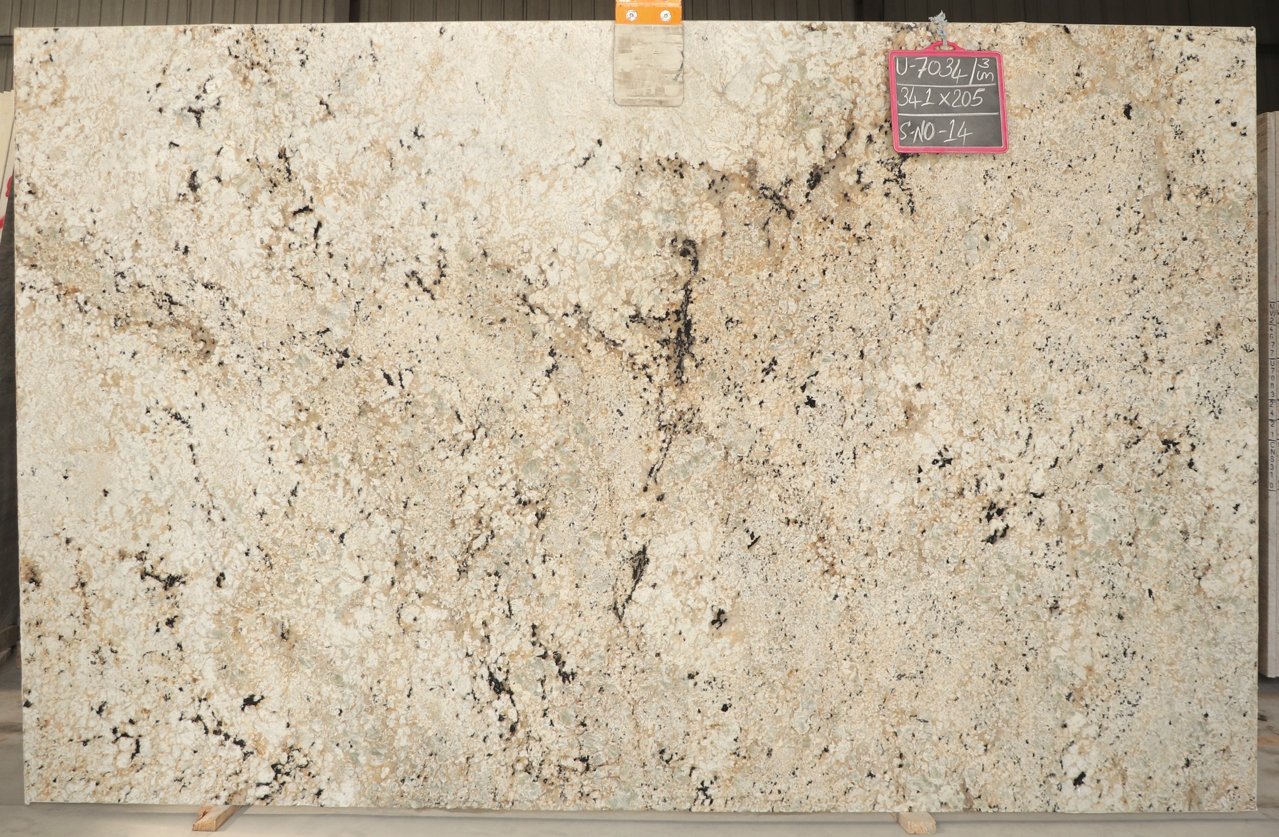 Lot U-7034 — Colonial Gold Dual (Pol/Lea)