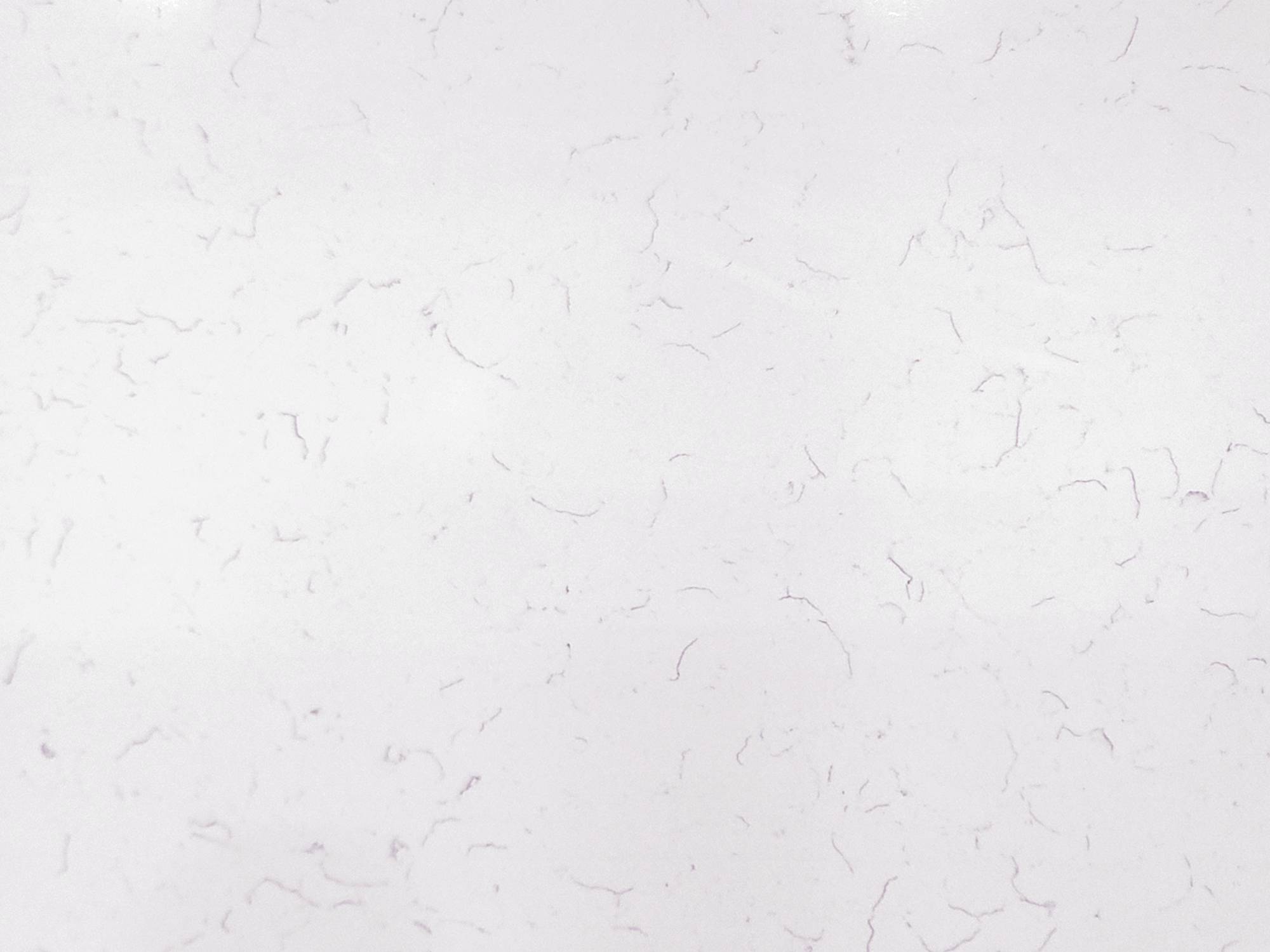 Thumbnail 2 of 2 for CRS - 3CM New Willow White Quartz