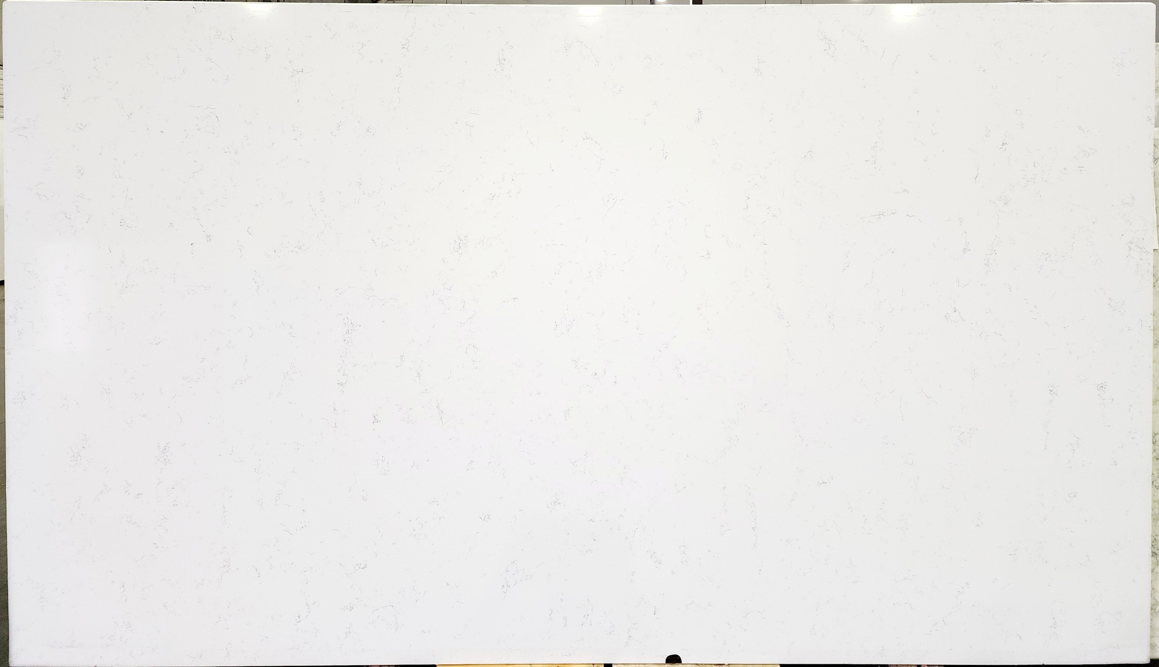 Lot 20260813 — 3cm Carrara Monique Super Jumbo Quartz