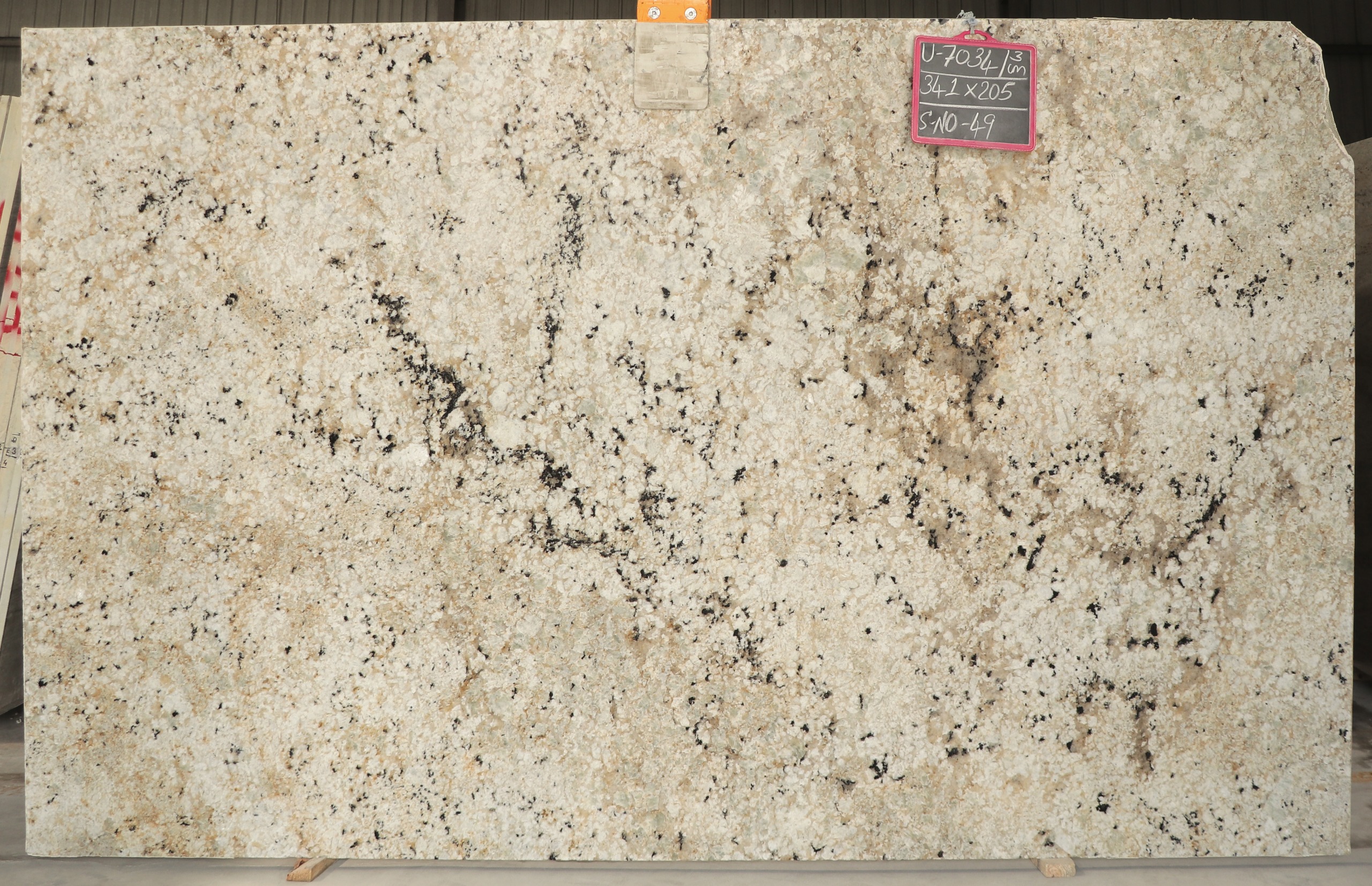Lote U-7034 — Colonial Gold Dual (Pol/Lea)