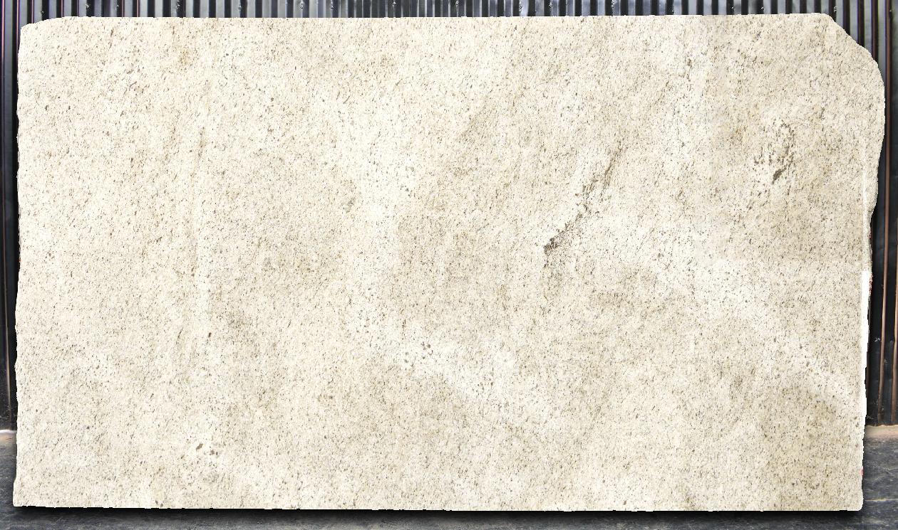 Lot 029674 — Ornamental Guidoni