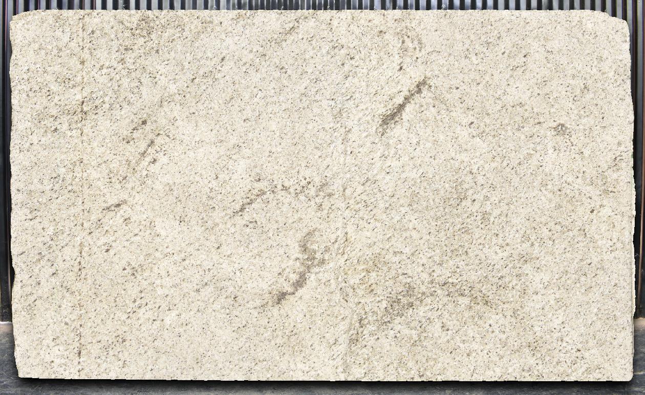 Thumbnail 2 of 4 for Ornamental Guidoni
