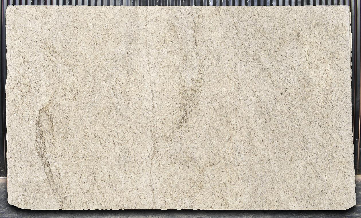 Thumbnail 3 of 4 for Ornamental Guidoni