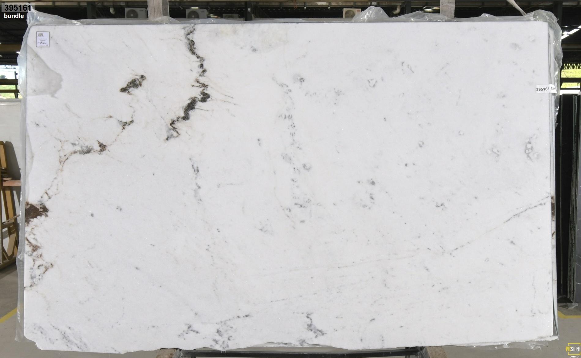 Thumbnail 2 of 2 for Calacatta Castello Calcite Honed