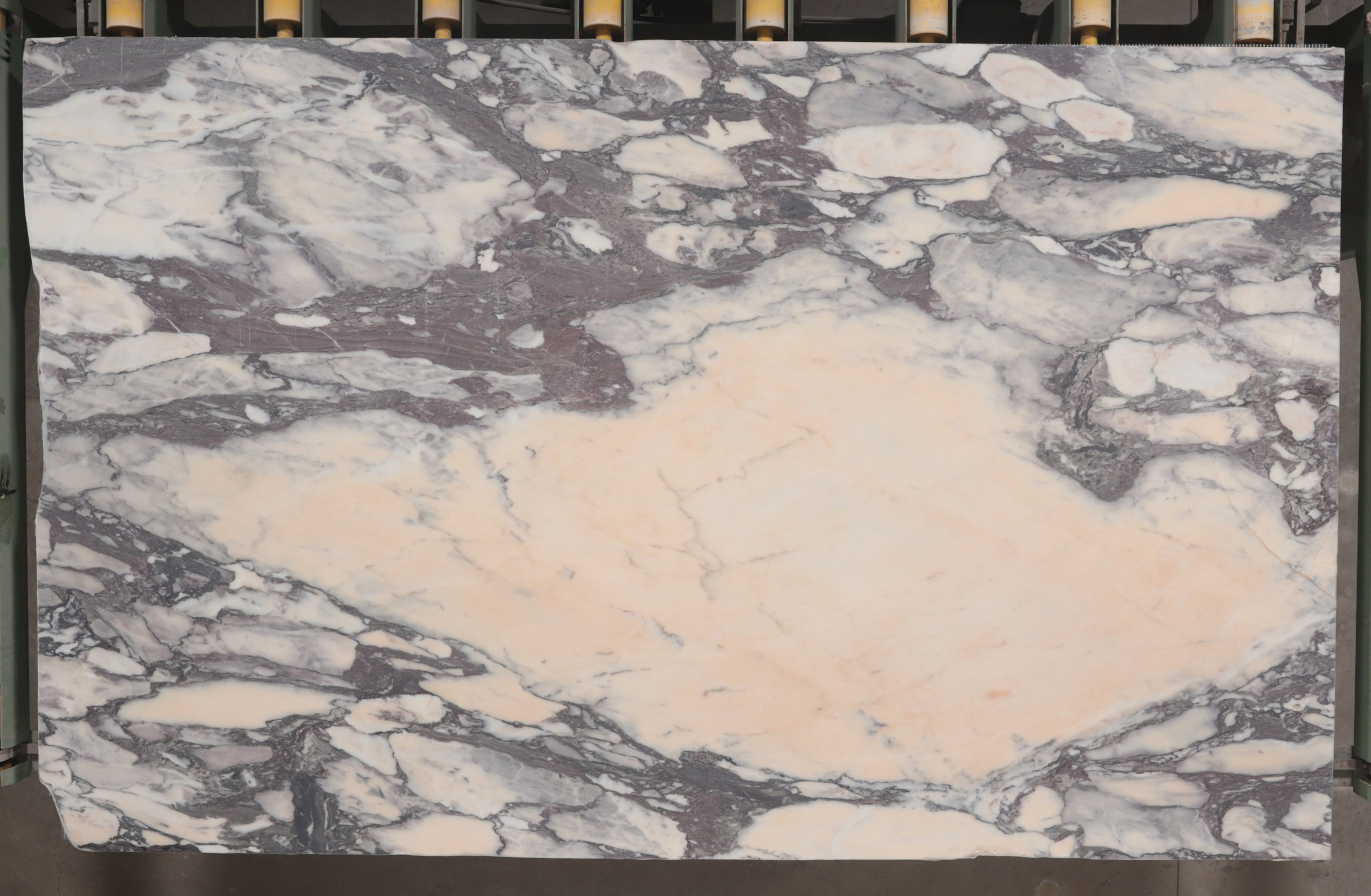 Thumbnail 2 of 2 for Calacatta Viola Antico Marble Honed