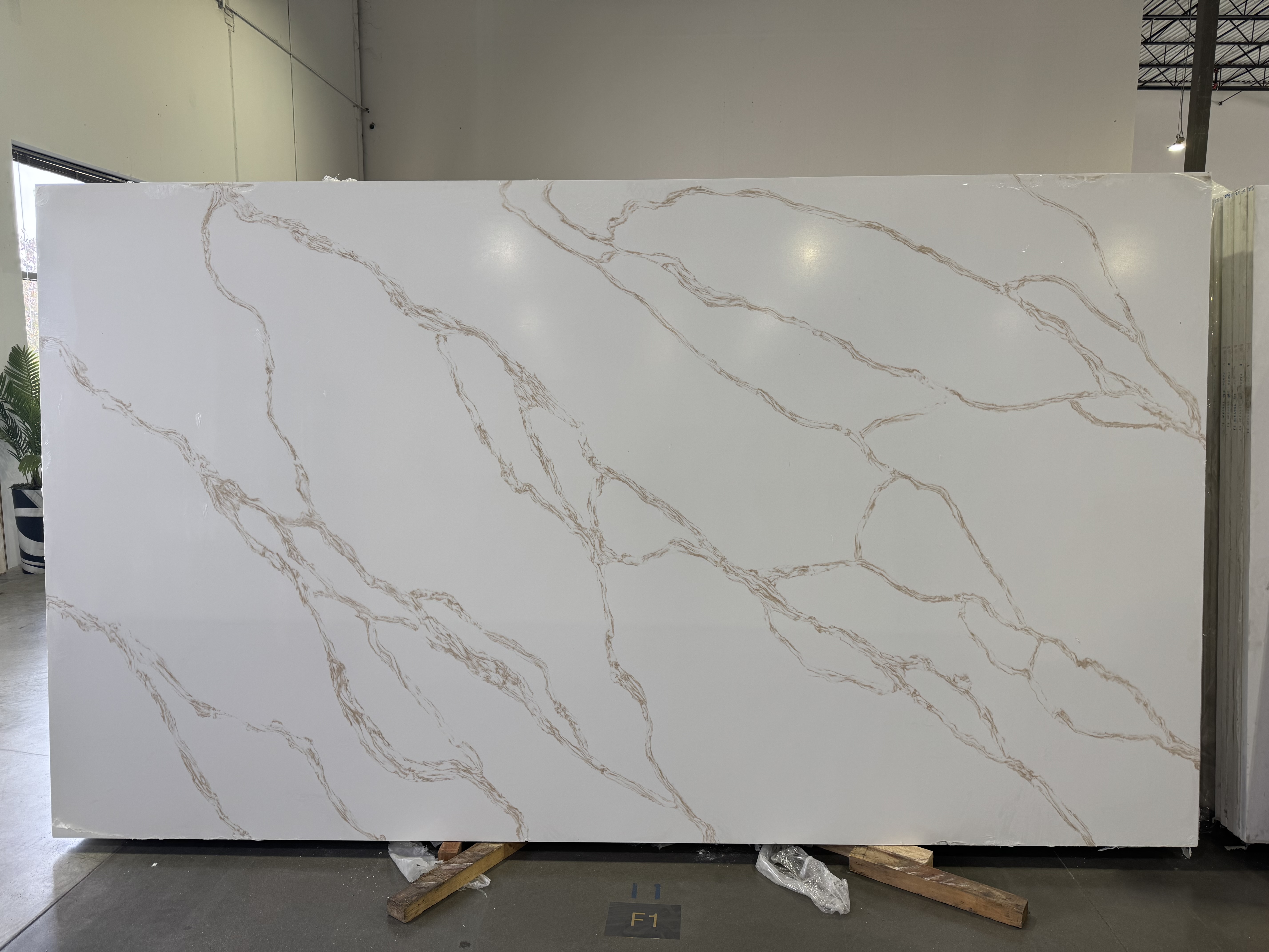 Lot 4336 — 3cm Calacatta Crema Jumbo Quartz