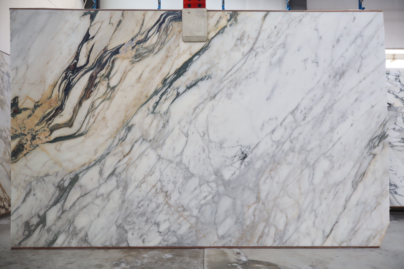 Thumbnail 2 of 2 for Calacatta Monet Marble Honed