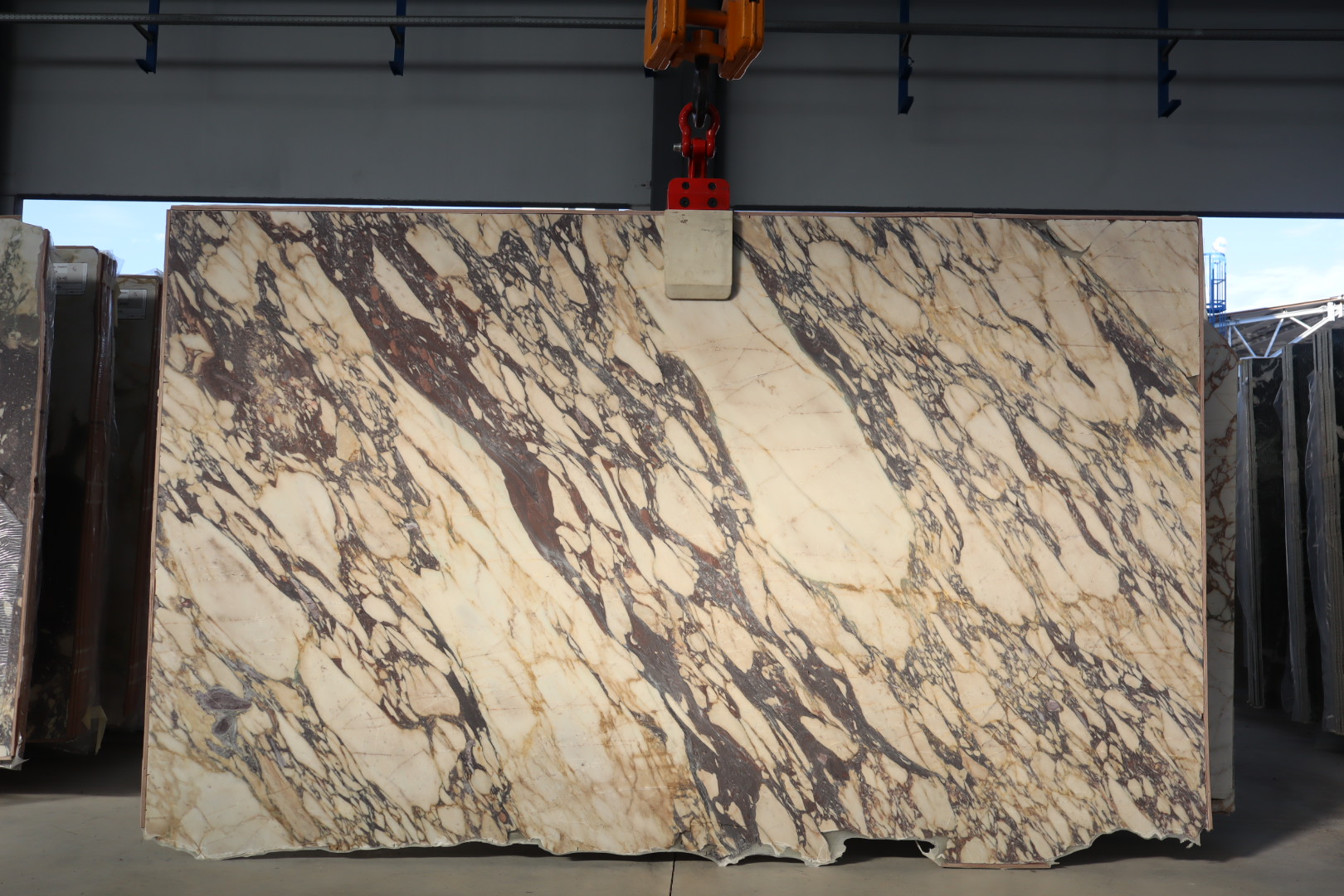 Thumbnail 2 of 2 for Calacatta Viola Wow Marble Honed